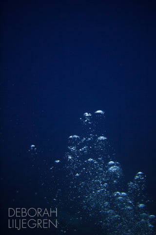 Emergence